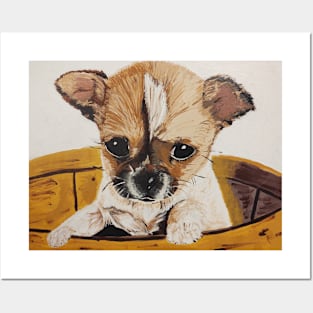 Chihuahua baby Posters and Art